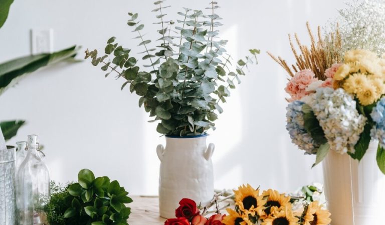 Wie wählt man Blumen nach Tierkreiszeichen aus? Blumenvorschläge nach Tierkreiszeichen