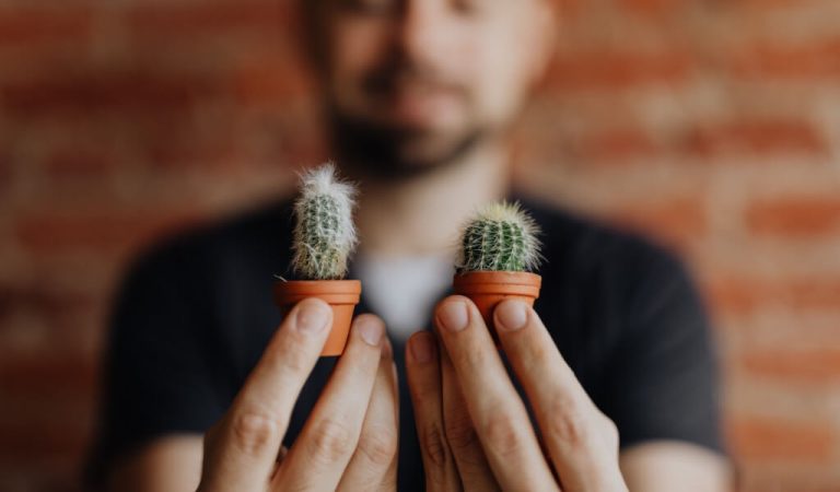 Blumen für einen Mann – Was sind die Blumen für einen Mann?