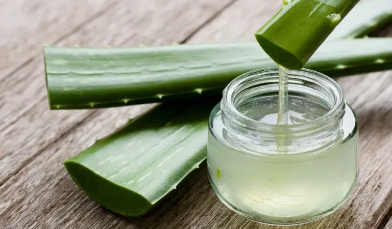 Aloe Vera Blume Pflege